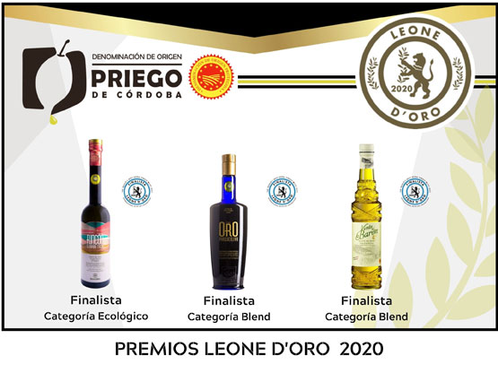 Leone d`oro