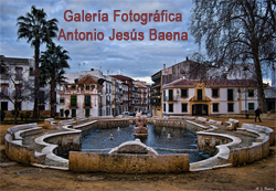 Galeria Antonio J. Baena