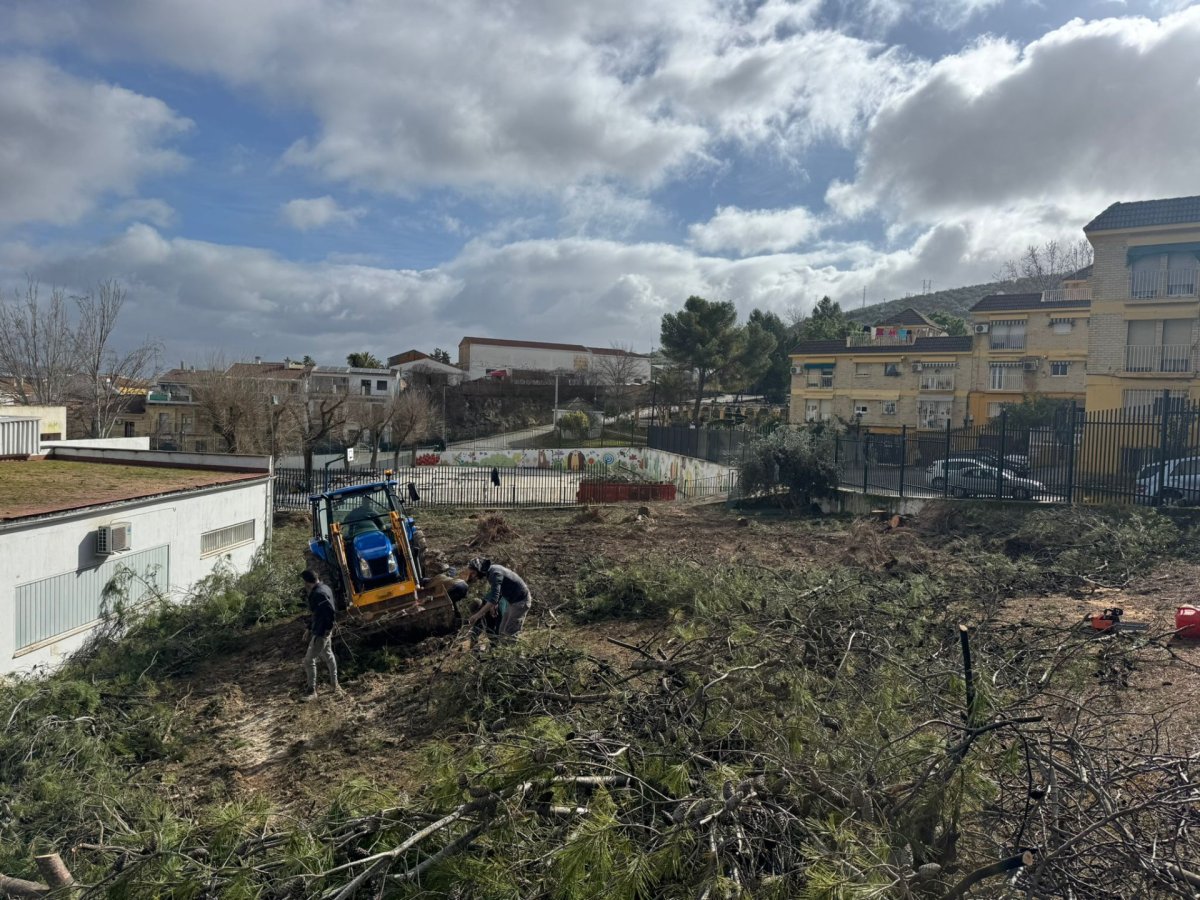 Imagen Priego solicita casi 2 millones de euros al Gobierno central para reparar los daños del tren de borrascas
