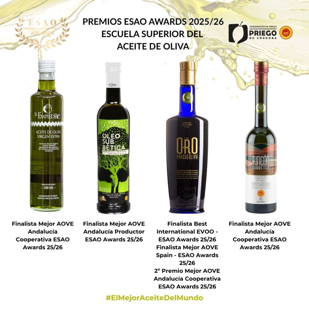 Los AOVES amparados bajo la D.O.P. Priego de Córdoba reciben diferentes distinciones a la calidad en Valencia.