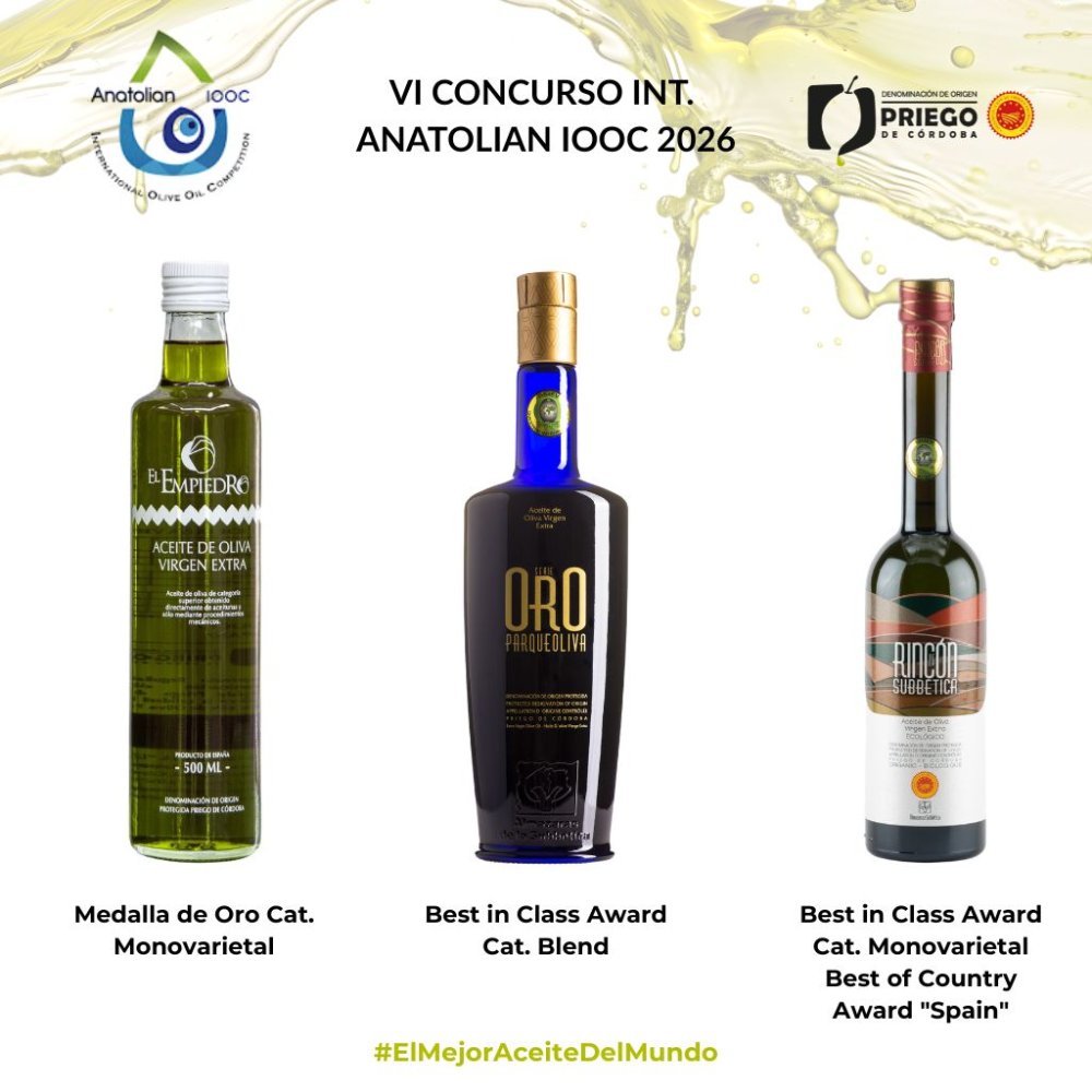 Imagen El AOVE de la D.O.P. Priego de Córdoba triunfa en Turquía con tres grandes galardones en el Anatolian IOOC 2026