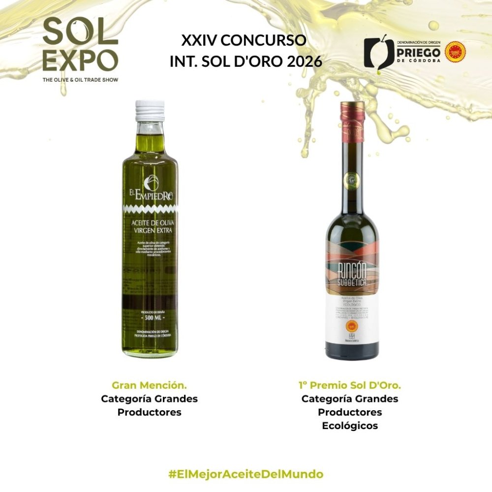 El AOVE de la DOP Priego de Córdoba triunfa en el prestigioso certamen Sol d’Oro 2026