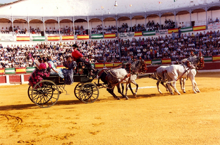 Imagen Dos ofertas serias para gestionar la Plaza de Toros de Las Canteras
