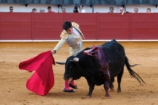 Imagen El Fandi y Curro Jiménez  salen a hombros en la reinauguración de la Plaza de Priego