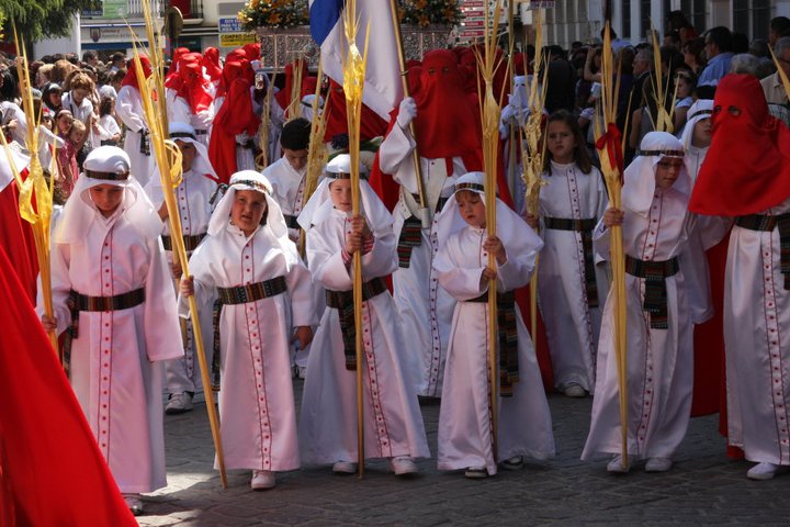 Imagen Radiante Domingo de Ramos
