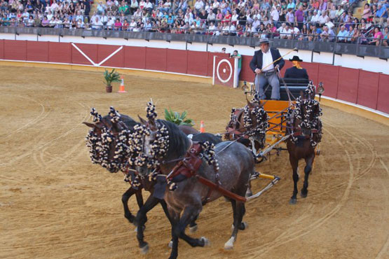 Imagen Destacada actuación de los representantes del Club de Enganche Ciudad de Priego en el C.A.C de Jaén celebrado en Andújar