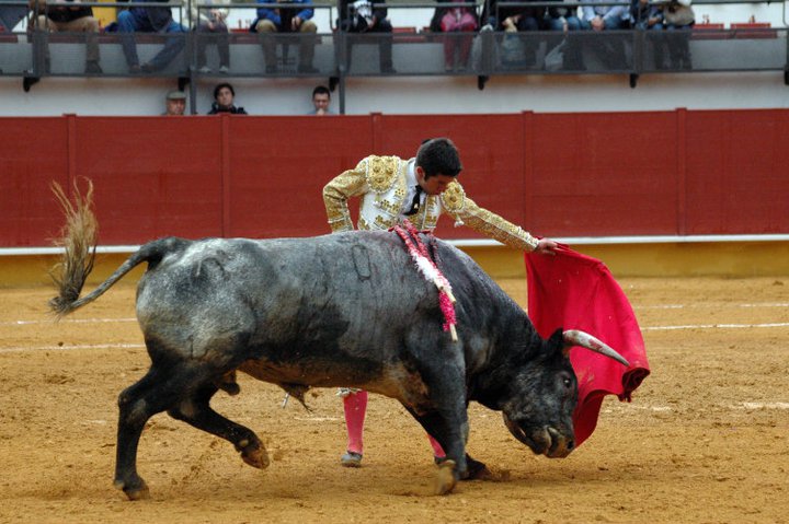 Imagen Comentarios Pasajeros : PATRIMONIO Y BIEN