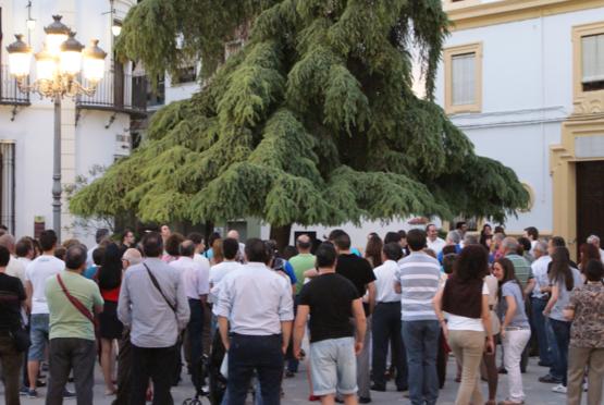 Imagen 120 personas se concentran en el Paseillo dentro de las actividades conmemorativas del 15M