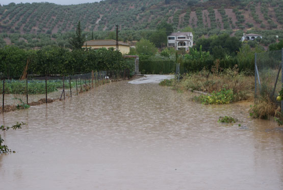 Las fuertes precipitaciones de hoy desbordan el Río Zagrilla