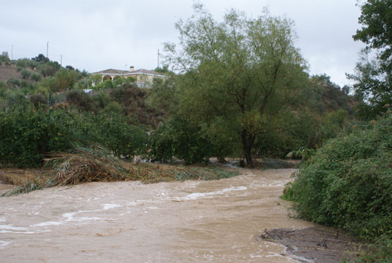 Imagen Las fuertes precipitaciones   de hoy desbordan el Río Zagrilla