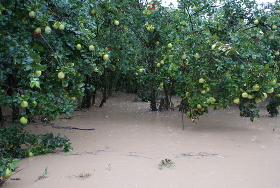 Imagen Las fuertes precipitaciones   de hoy desbordan el Río Zagrilla