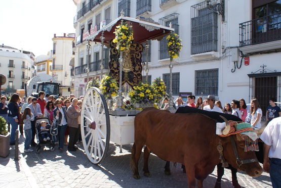 Imagen Camino de las Arenas