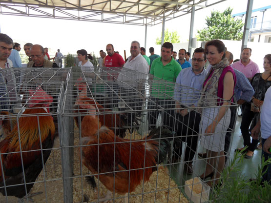 Imagen Analizan las posibilidades del capón andaluz para diversificar la producción agroganadera en Priego