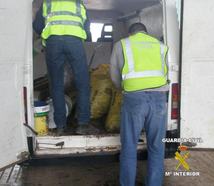 Imagen Los Agricultores piden más seguridad para la próxima campaña olivarera