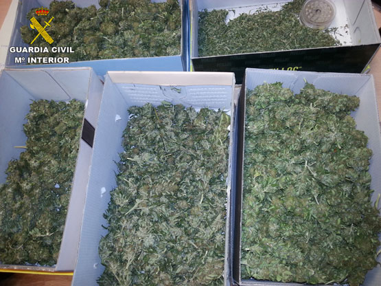 Imagen La Guardia Civil detiene en Priego a un joven de 21 años por tráfico de drogas