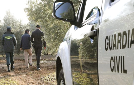 Imagen La Guardia Civil imputa en Priego a dos personas especializadas en el robo en explotaciones agrícolas 