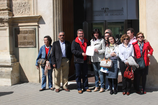 Imagen Entregan en el Parlamento de Andalucía más de 11.300 firmas solicitando un hospital para Priego.