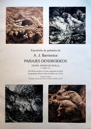 Imagen Inaugurada en Sevilla una exposición del prieguense Antonio José Barrientos