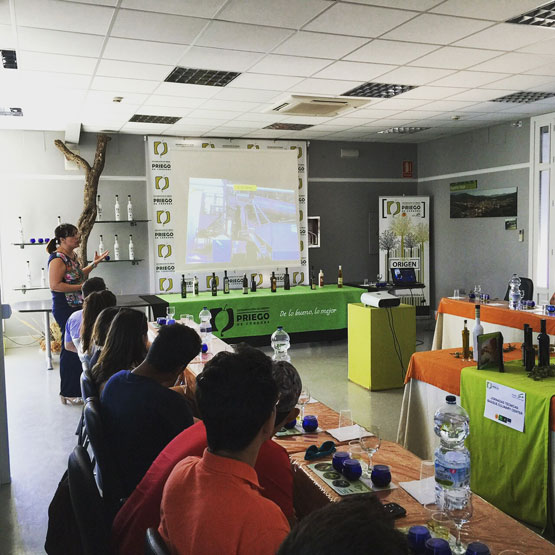 Imagen La Denominación de Origen recibe a los participantes del campamento 'Basque CulinaryCenter'
