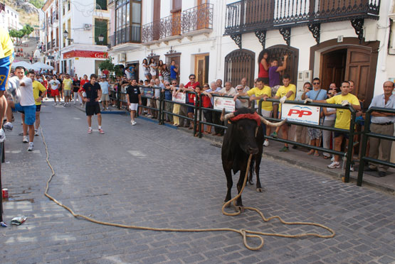 Imagen Más de 77.000 aficionados asistieron a los 54 festejos taurinos que se celebraron durante 2015 en la provincia de Córdoba
