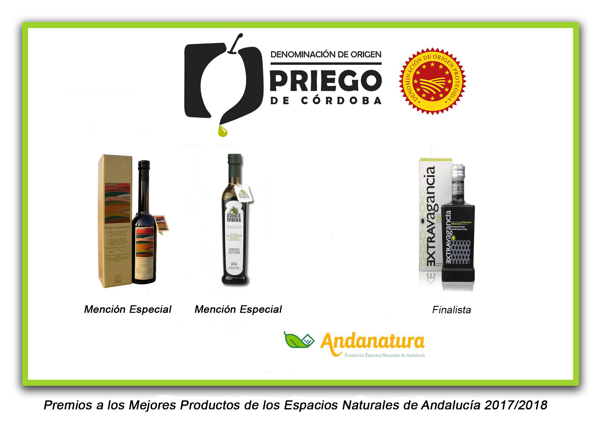 Imagen Los aceites con el sello de calidad prieguense reciben los primeros premios de la campaña 2017/2018