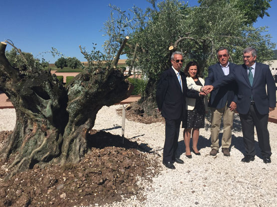 Imagen Las Denominaciones de Origen de Aove cordobesas se unen para apoyar la candidatura de Medina Azahara para ser reconocida Patrimonio de la Humanidad