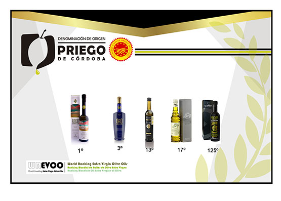 Imagen Los aceites de Priego copan los primeros premios del EVOO WORLD