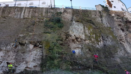 Imagen El ayuntamiento realiza una limpieza en la muralla del Adarve