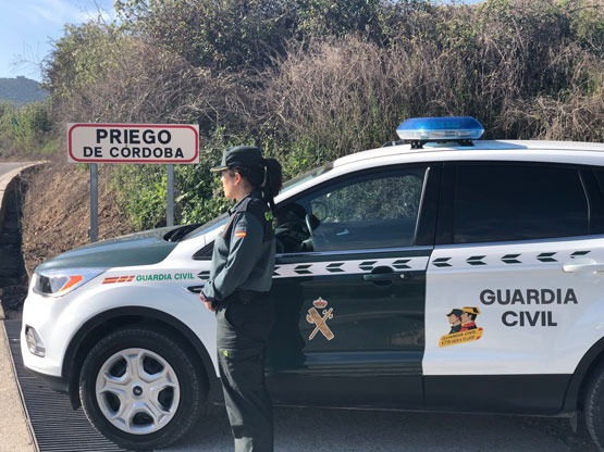 Imagen La Guardia Civil detiene en Priego de Córdoba a una persona como supuesta autora de 15 delitos de robo con fuerza