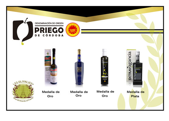 Imagen Nuevo reconocimiento internacional a los aceites amparados en la Denominación de Origen Protegida