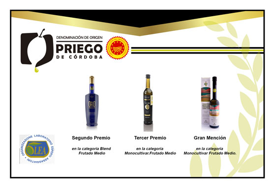 Imagen Tres firmas amparadas por la DOP Priego de Córdoba reciben los primeros premios en L’Oro del Mediterraneo
