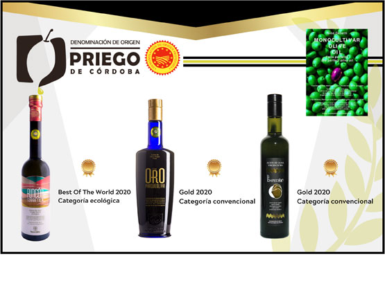 Imagen Italia premia la calidad de los aceites prieguenses 