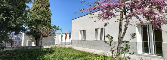 Imagen Educación invierte más de 410.000 euros en la ampliación del IES Carmen Pantión de Priego de Córdoba