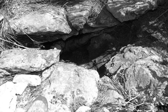 Imagen Cueva David:¿otro aliciente turístico?