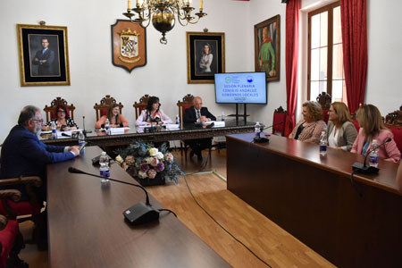 Imagen El Pleno del Consejo Andaluz de Gobiernos Locales se reúne en Priego de Córdoba para abordar la hoja de ruta y activar el grupo de trabajo