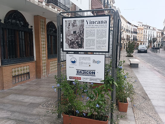 Imagen El Centro de la Imagen presenta la exposición fotográfica ‘Yincana’