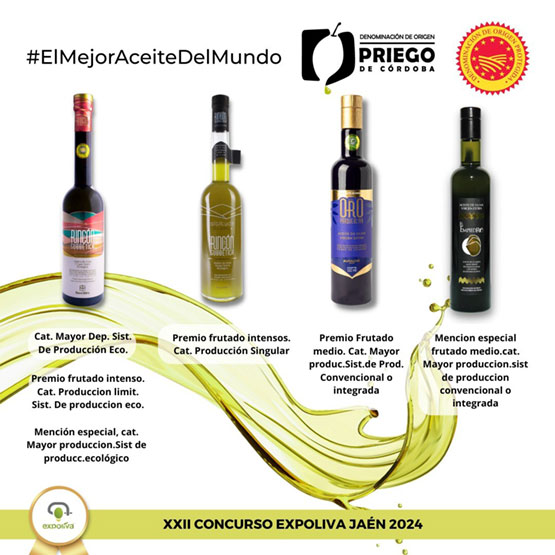 Reconocimiento a los aceites amparados en la DOP de Priego en Expoliva 2024