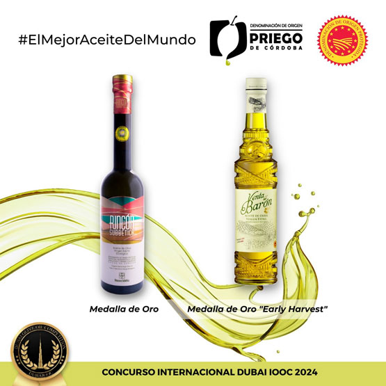 Imagen El concurso 