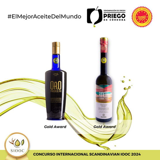 Imagen El III Concurso Internacional