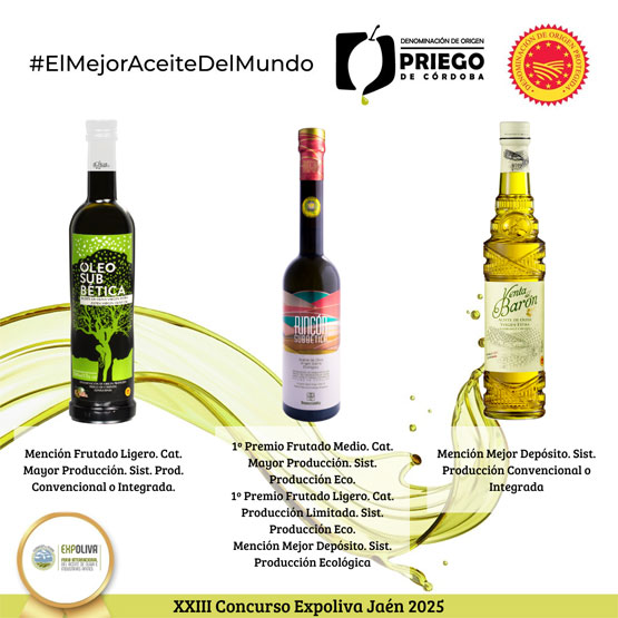 Imagen Expoliva premia tres aceites amparados en la DOP 