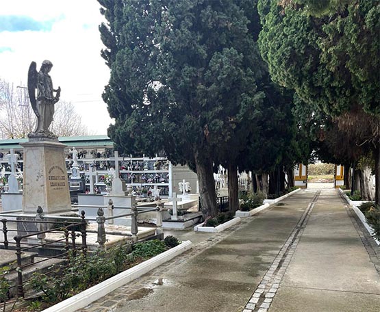 Imagen Se derrumba parte de un pabellón del cementerio que ha afectado a 25 nichos