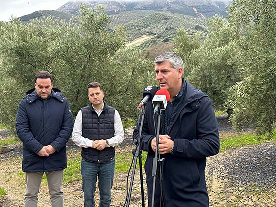 Imagen El delegado de Agricultura comprueba los daños ocasionados por el temporal en la Subbética