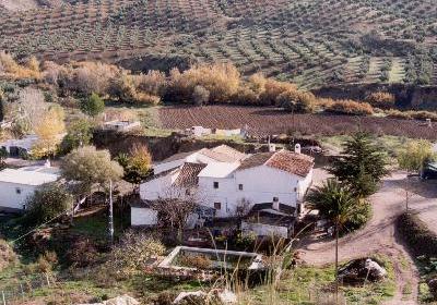 Imagen Imputado un ciudadano inglés como presunto autor de un incendio forestal en las inmediaciones de El Solvito