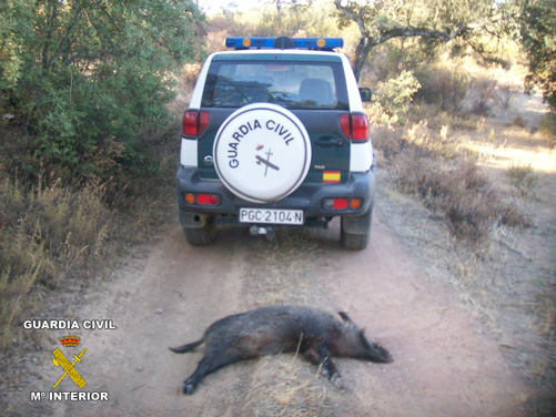 Imagen La Guardia Civil dentro del marco de la Operación “Vareto” denuncia a 15 personas supuestas autoras de infracciones en materia de caza
