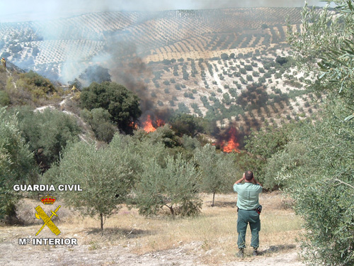 Imagen Con 207 actuaciones en prevención de incendios forestales, la Guardia Civil da por concluido su dispositivo preventivo complementario al Plan INFOCA