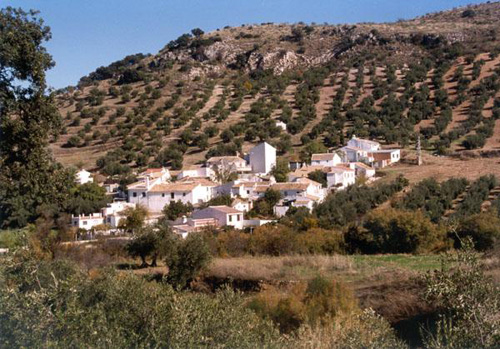 Imagen Corte de la carretera CO-8209 “El Tarajal a Fuente Alhama” por refuerzo del firme
