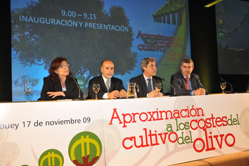 Imagen La Diputación de Córdoba y AEMO impulsan un seminario sobre los costes del cultivo del olivar