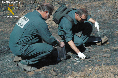 Imagen La  Guardia Civil de Córdoba realizó más de 3700 actuaciones en el año 2009 en defensa del medio ambiente
