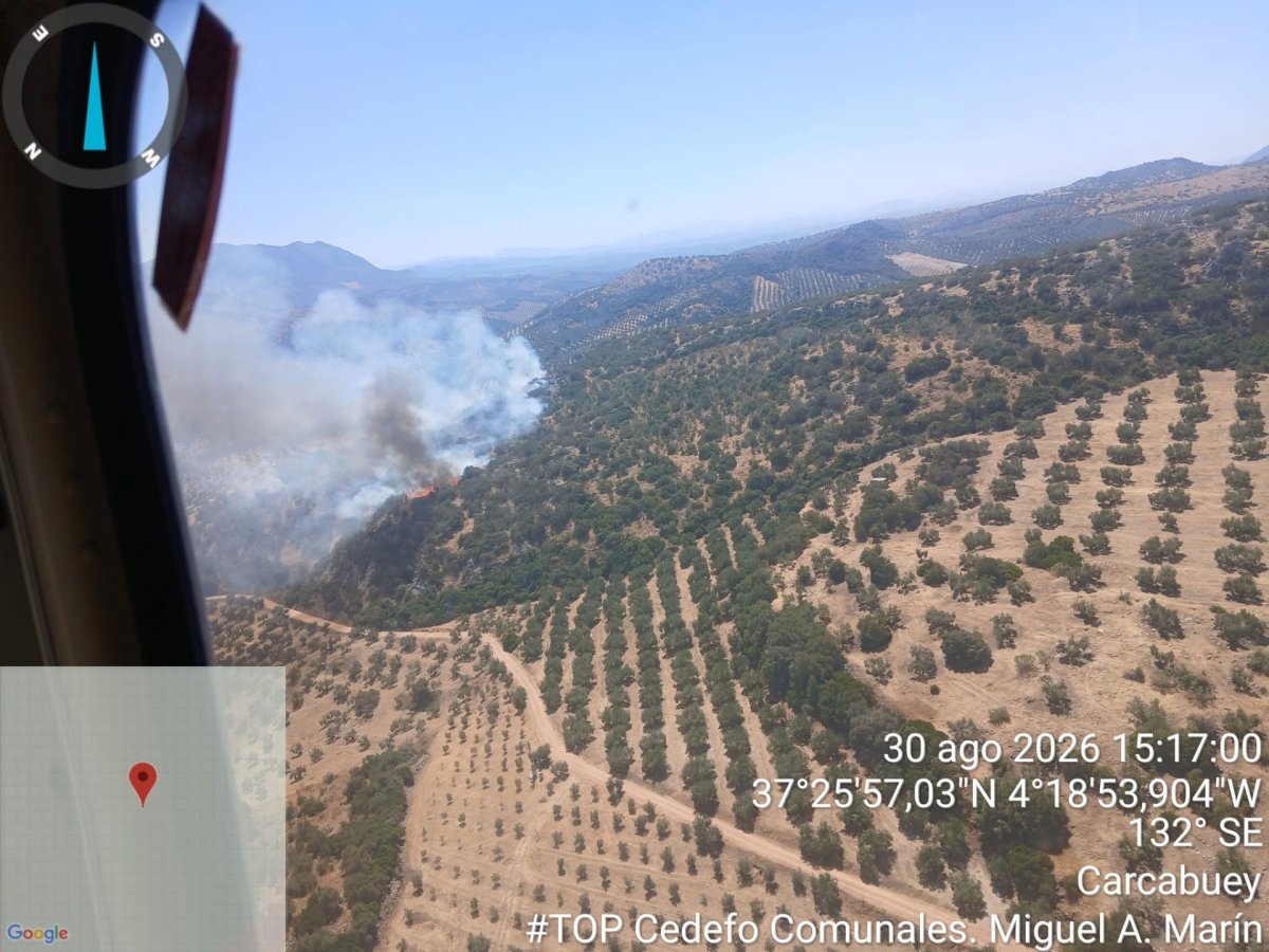 Imagen Estabilizado un incendio forestal en el paraje "Cañada Hornillo" de Carcabuey