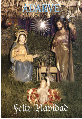 2006/0733-0734-15-31122006.pdf